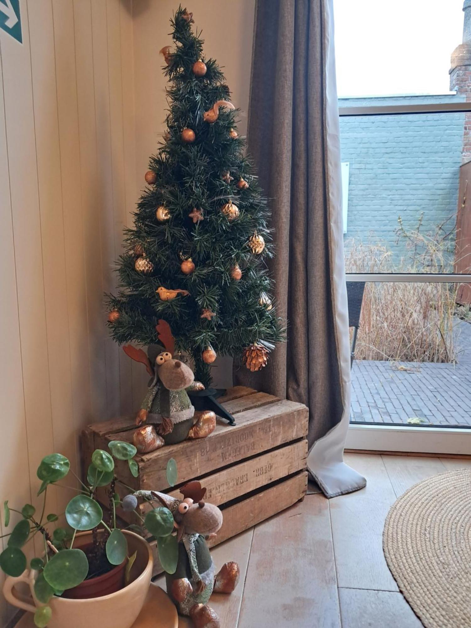Home Away Blankenberge Bagian luar foto